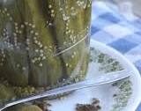 Quick, Fresh-Pack Dill Pickles