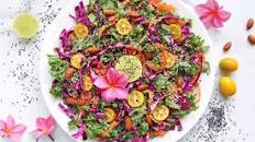 Rainbow Vegan Citrusy Slaw (No Mayo)