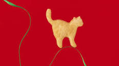 Salmon Cat Treats