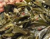 Smoky Vegetarian Collard Greens