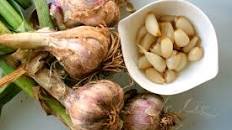 Sweet pickled garlic