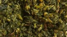TAKANA Mustard Greens