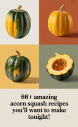 66+ Amazing Acorn Squash Recipes You’ll Want to Make Tonight! acorn-squash-ccccc-43725