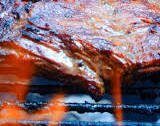 Authentic Carne Asada Recipe