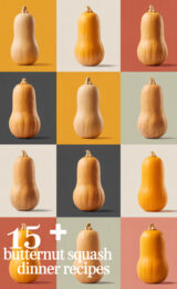 15+ Delicious Butternut Squash Dinner Recipes You’ll Love! butternut-squash-ccccc-87493
