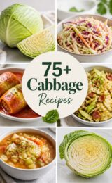 cabbage-ccccc-47560