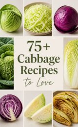 cabbage-ccccc-69327