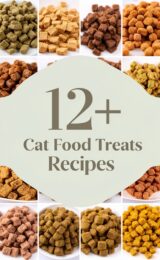 12+ Simple Cat Food Treats Recipes Your Feline Will Love cat-food-treats-ccccc-86178