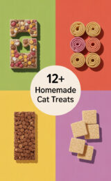 cat-treats-ccccc-68537