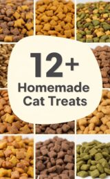 12+ Delicious Homemade Cat Treats Your Feline Will Love! cat-treats-ccccc-99575