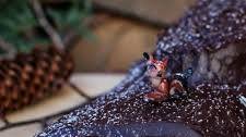 Chocolate Hazelnut Roll {Yule Log}