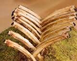 Garlic Herb-Crusted Roast Rack Of Lamb Recipe by Tasty