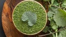 Garlic Mustard Pesto