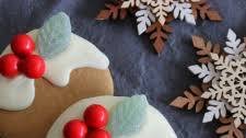 Gingerbread Pudding Biscuits