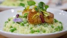 Green Pea Risotto with Scallops and Parmesan Recipe