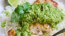 Grilled Mahi Mahi with Cilantro-Ginger Pesto