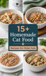 homemade-cat-food-ccccc-68048