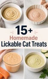 homemade-lickable-cat-ccccc-21457