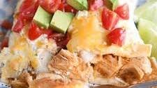 Honey Lime Chicken {or Pork} Enchiladas