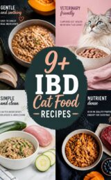 9+ Easy IBD Cat Food Recipes Your Feline Will Love! ibd-cat-food-ccccc-25387
