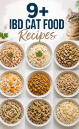 ibd-cat-food-ccccc-43949