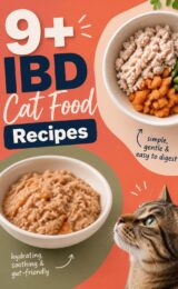 ibd-cat-food-ccccc-90250