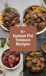 instant-pot-venison-ccccc-27579