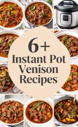 instant-pot-venison-ccccc-80006
