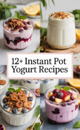 instant-pot-yogurt-ccccc-18750