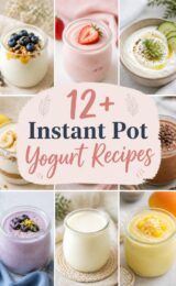 instant-pot-yogurt-ccccc-19054