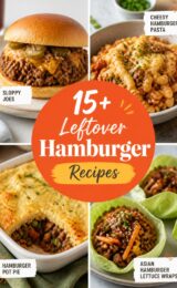leftover-hamburger-ccccc-77523