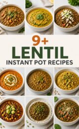 lentil-ccccc-19406