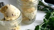 Mint Chocolate Chip Ice Cream (Dairy and Non-Dairy Versions)