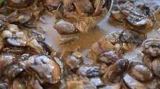 Mushroom Sauce for Steak