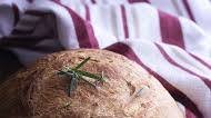 Olive Oil and Rosemary No Knead Bread