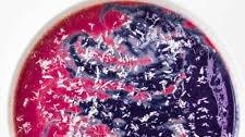Patriotic Swirled Smoothie Bowl