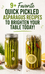 9+ Favorite Quick Pickled Asparagus Recipes to Brighten Your Table Today! pickled-asparagus-ccccc-13166