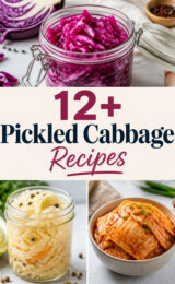 pickled-cabbage-ccccc-95208