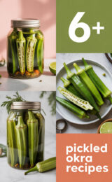 pickled-okra-ccccc-90776