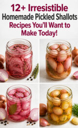 12+ Irresistible Homemade Pickled Shallots Recipes You’ll Want to Make Today! pickled-shallots-ccccc-26895