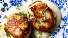 Seared Scallops With Cauliflower Puree! Simple, Elegant Excellence!