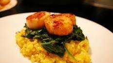 Seared Scallops with Parmesan Risotto and Spinach