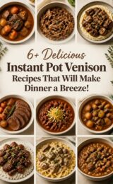 6+ Delicious Instant Pot Venison Recipes That Will Make Dinner a Breeze! venison-ccccc-84854