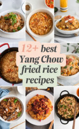 12-best-yang-chow-fried-rice-recipes-bbbbb-77287