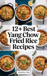 12-best-yang-chow-fried-rice-recipes-ccccc-38440