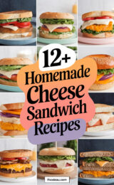 12-homemade-cheese-sandwich-recipes-ccccc-42128