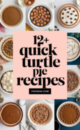 12-quick-turtle-pie-recipes-ccccc-92138