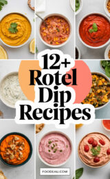 12-rotel-dip-recipes-ccccc-67679