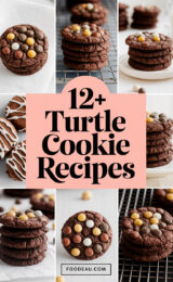 12-turtle-cookie-recipes-ccccc-23765