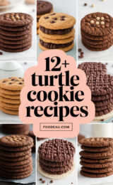 12+ Favorite Turtle Cookie Recipes to Delight Your Taste Buds 12-turtle-cookie-recipes-ccccc-46236